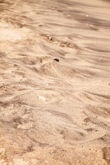 Fototapeta na wymiar texture de sable
