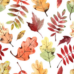 Obraz premium Watercolor pattern with bright autumn leaves.