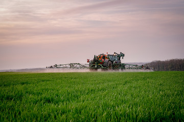 Naklejka premium Ackerbau - Landwirt spritzt nach Feierabend sein Getreide gegen Unkraut