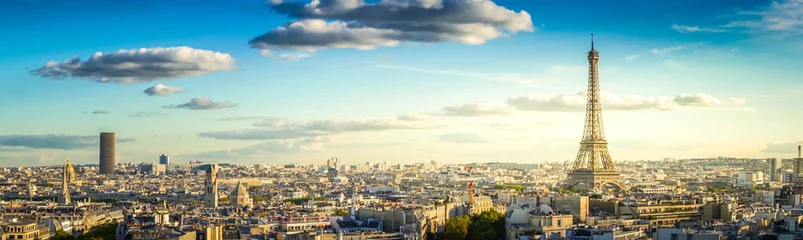  panorama van de beroemde Eiffeltoren en de daken van Parijs, Parijs Frankrijk, retro toned © neirfy