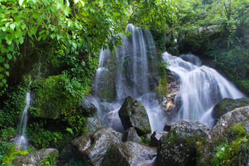 Fototapeta na wymiar Dense Forest Waterfall