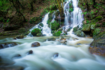 Milky fresh waterfall