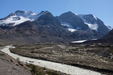 Fototapeta na wymiar La promenade des Glaciers, Rocheuses canadienne