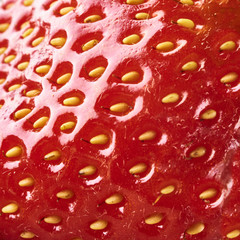 macro texture of fresh strawberry