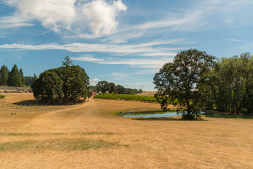 Rural country landscape on a perfect summer afternoon