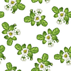 Seamless pattern with strawberry leaves and flowers bouquets on white background. Hand drawn watercolor illustration.
