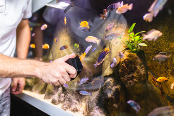 Male worker in aquarium shop cleaning fish tenk. - obrazy, fototapety, plakaty