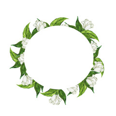 White lilly flowers and green leaves round frame isolated on white background. Hand drawn watercolor illustration.