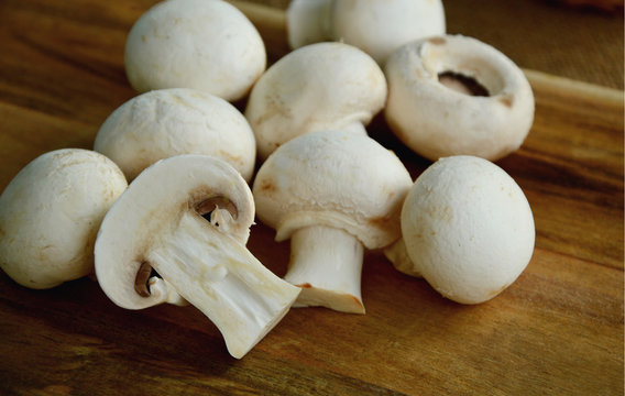 Agaricus bisporus or portobello mushroom on wooden floor.