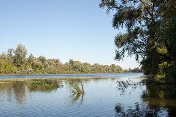 Pond with marsh grass and reeds during the day