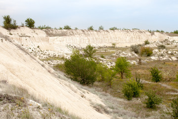 Chalk quarry with a strip of green trees in the afternoon