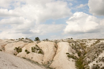Chalk quarry with a strip of green trees in the afternoon