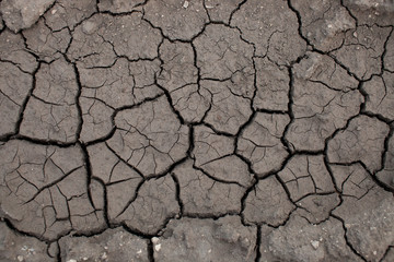 The texture of cracked earth when drying up water bodies