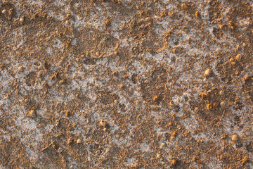 The texture of the land of the sea estuary with shells