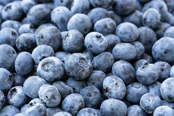 Pile of blueberries up close.