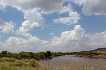 Obraz premium Mara River Kenya