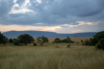 Fototapeta na wymiar Sunrise on Masai Mara