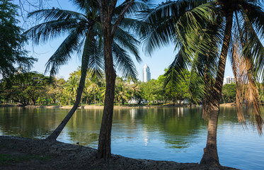 Obraz premium Bangkok cityscape from Lumpini Park