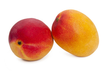 Two mango fruits isolated on the white background