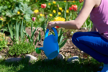 Caucasian woman handling flowers with water can at a household plot.