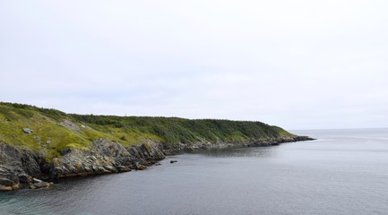 Fototapeta na wymiar landscape around the Irish Loop; coastline along Ferryland Head with the Lighthouse, Avalon Peninsula Newfoundland, Canada