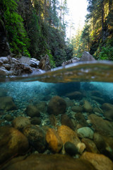 Fototapeta na wymiar Over and Under picture of a beautiful Canyon in Lynn Valley, North Vancouver, British Columbia, Canada.