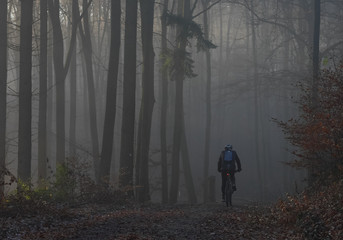 biking in thhe wood