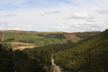 Nature Landscape Background