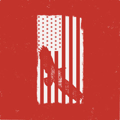 USA American National Flag in disstressed white style. Vintage design with eagle. Perfect for T-Shirt, poster, cards. America symbol. Stock illustration isolated on red background