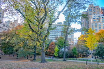 Autumn Fall time in Central park, New York, USA.