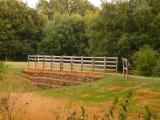 Fototapeta premium Grassy Bridge
