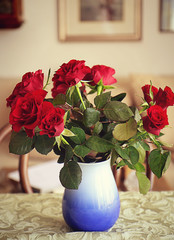 Still life interiors, red roses in vase