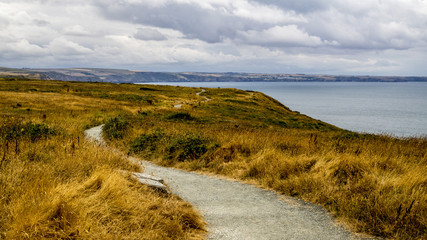 Cornwall landscape