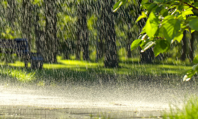 Drops of warm summer rain, falling on the asphalt - obrazy, fototapety, plakaty