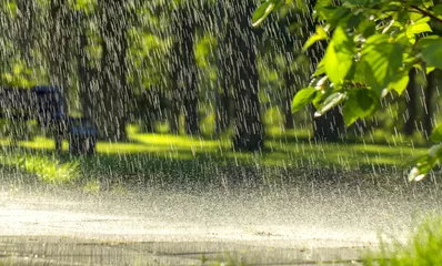 Foto op Aluminium Drops of warm summer rain, falling on the asphalt © maykal