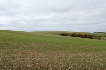 Nature Landscape Background