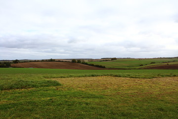 Nature Landscape Background