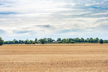 field view