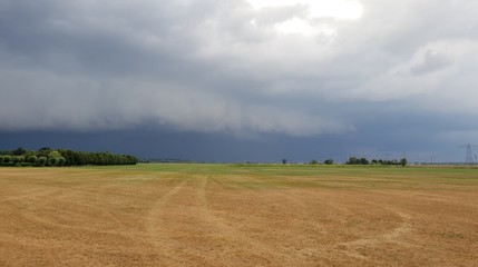 Fototapeta na wymiar wall cloud of a thunderstorm above dry yellow fields and green trees in Laag Zuthem in Overijssel, the Netherlands