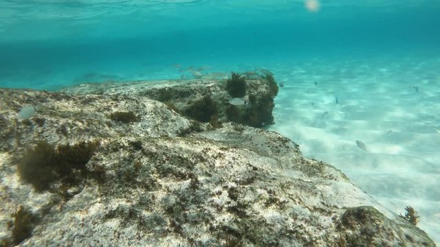 Unterwasser schnorcheln im Meer mit Actioncam