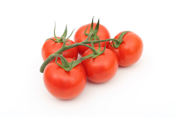 fresh tomatoes