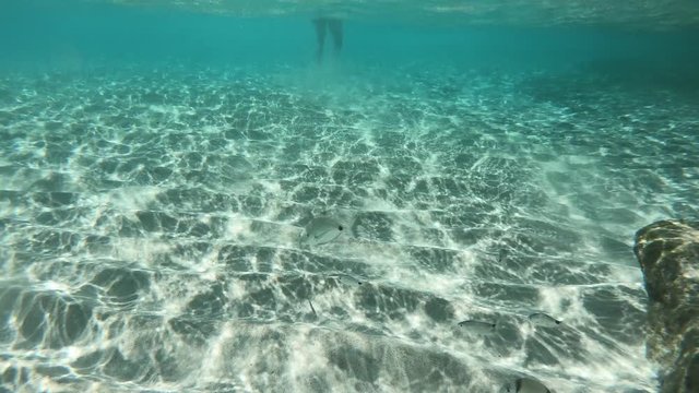 Unterwasser schnorcheln im Meer mit Actioncam