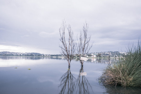 An afternoon on the lake