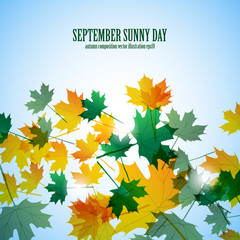 Illustration autumn motif. Maple leaves. Vector background