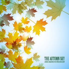 Naklejka na ściany i meble Illustration autumn motif. Maple leaves. Vector background