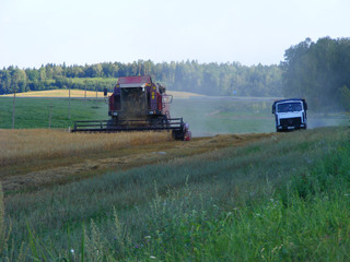 Fototapeta premium Combine harvester during oast harvest