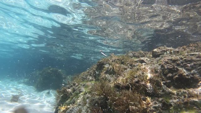 Unterwasser tauchen im Meer mit Actioncam