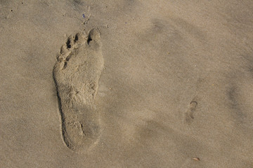 footstep in sand at a beach