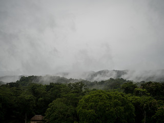 Fototapeta na wymiar Clouds cover jungle in mountains