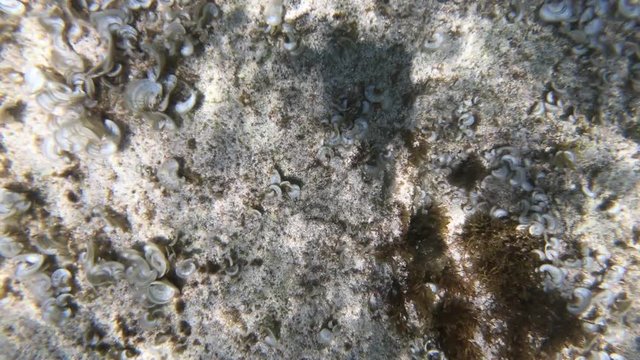 Unterwasser im Meer mit Actioncam